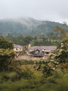 Kohu by Honeyvale - 6