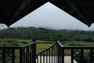 Kohu by Honeyvale - 4