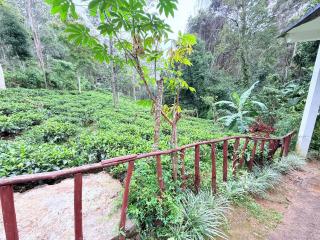 New Relax Inn Ella - 5