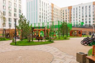 Олен зеленая - 6