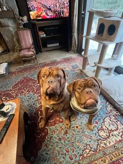 Rugio namai-Rye house - 8