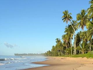 KeCocos pie en la arena Ipioca Maceio - 3