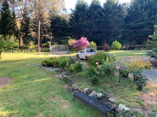 Retreat in a beautiful forest! - 4