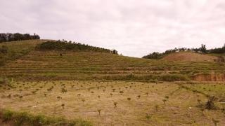 Ditrek Adventure - 6