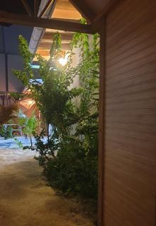 Dhigurah Holidays - 2