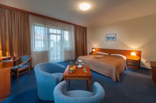 April hotel Panorama - Rychnov nad Kněžnou - 3