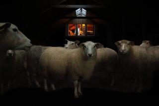 Unik fjøsleilighet - 9