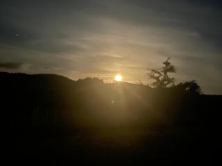 Self check-in double or single rooms - Te Miro - 3