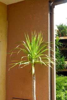 Villa Solaj Dumaguete - 5