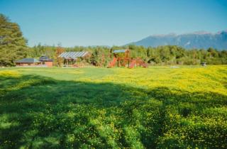 Cabañas Puerto Aysen - 8