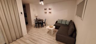 RiC Apart - Apartament Mostowa, centrum Poznań - parking - klimatyzacja - 5