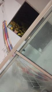 Casa da Thays - Carnaval de Recife e Olinda - 5