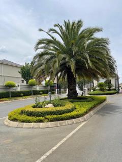 Northern Modern Comforts - 4