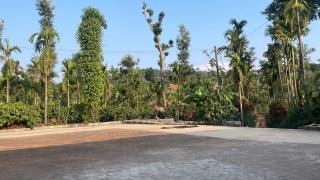 Coffee Mist Retreat - 0