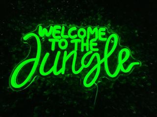 Studio Jungle with Netflix and video projector - Lyon - 9