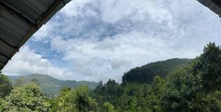 Angel's View Cottage Ella - 8