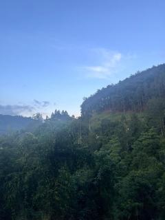 Angel's View Cottage Ella - 9