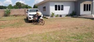 Kareber Deluxe - Gulu - 1