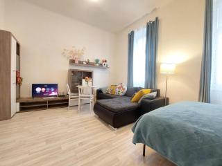 ČSA1 Central City Apartment Hradec Králové - 3