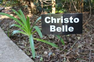 Belle's at Montville - Montville - 3
