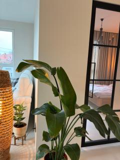 BlaBlaFlat Warszawa Aura Mokotów - 4