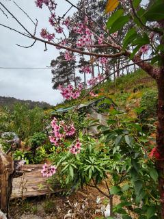 Nhà gỗ Ngỏ Nhỏ - 1