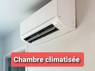 MAURY CAT'STUDIO 66 - 8