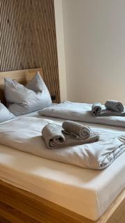 AlpinHerz Bio Penthouse Apartment - 6