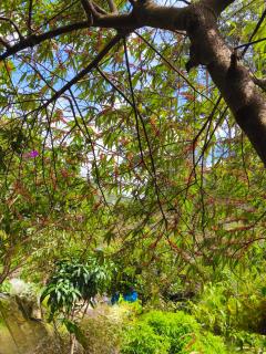 Nhà gỗ Ngỏ Nhỏ - 9