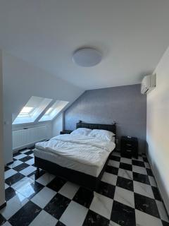 Apartment in the center of Piešťany overlooking the river Váh - 5