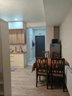 Apartment #2 in Mtsvane Veli - 0