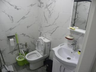 Apartment #2 in Mtsvane Veli - 3