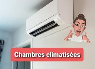 MAURY CAT'STUDIO 66 - 7