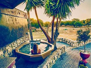 A Touch of Bushveld by the Sea - 4