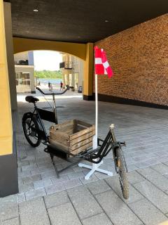 Apartment overlooking Skanderborg Lake with 8 beds - 3