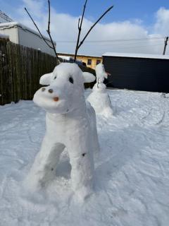 Prázdninový dům Mladé Buky - 5