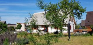 Fischerhus Lütt Hauke 75 qm Annerose - 6