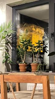 Guesthouse Chela - 7