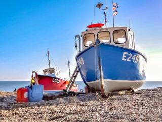 Haslemere - Beer Devon - 4