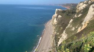 Haslemere - Beer Devon - 3