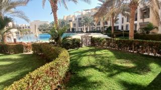 Mangroovy Gouna Beach and pool - 7