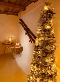 Lodge Rose's Heart - 3