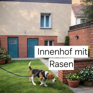 Gemütliches Apartment am Muskauer Park Sauna Hunde willkommen Ruhige Lage - 2