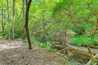 Private Hot Tub and Home Theater Ranger Log Cabin! - Ranger - 3