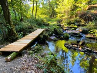 MAGNIFIQUE Location au bout de la route - 2