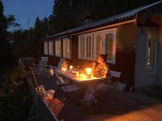 Cabin, 25 m to the lake, 25 min Oslo, 10 min Tusenfryd - 5
