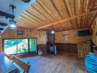 Pensiunea Padina - 1