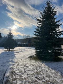 Zestrea Bunicilor - 4