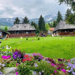 Căsuța Floarea Reginei - Borşa - 9