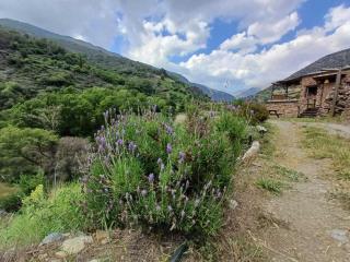 Casa rural cortijo molino altero - 8